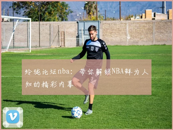 玲珑论坛nba:带你解锁NBA鲜为人知的精彩内幕