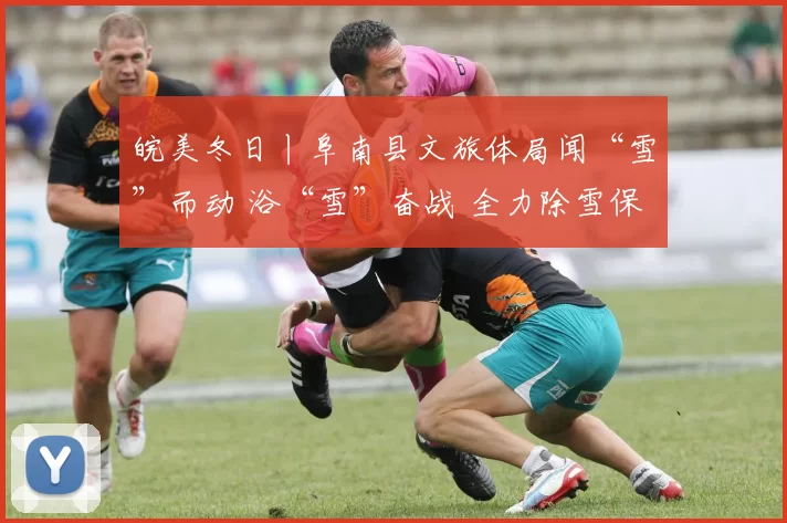 皖美冬日丨阜南县文旅体局闻“雪”而动 浴“雪”奋战 全力除雪保畅通护平安